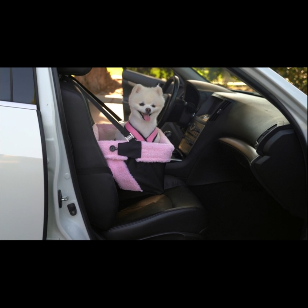 Car seat for dogs nearly used perfect condition